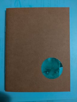 Libri Artista  &raquo; Divergenze parallele